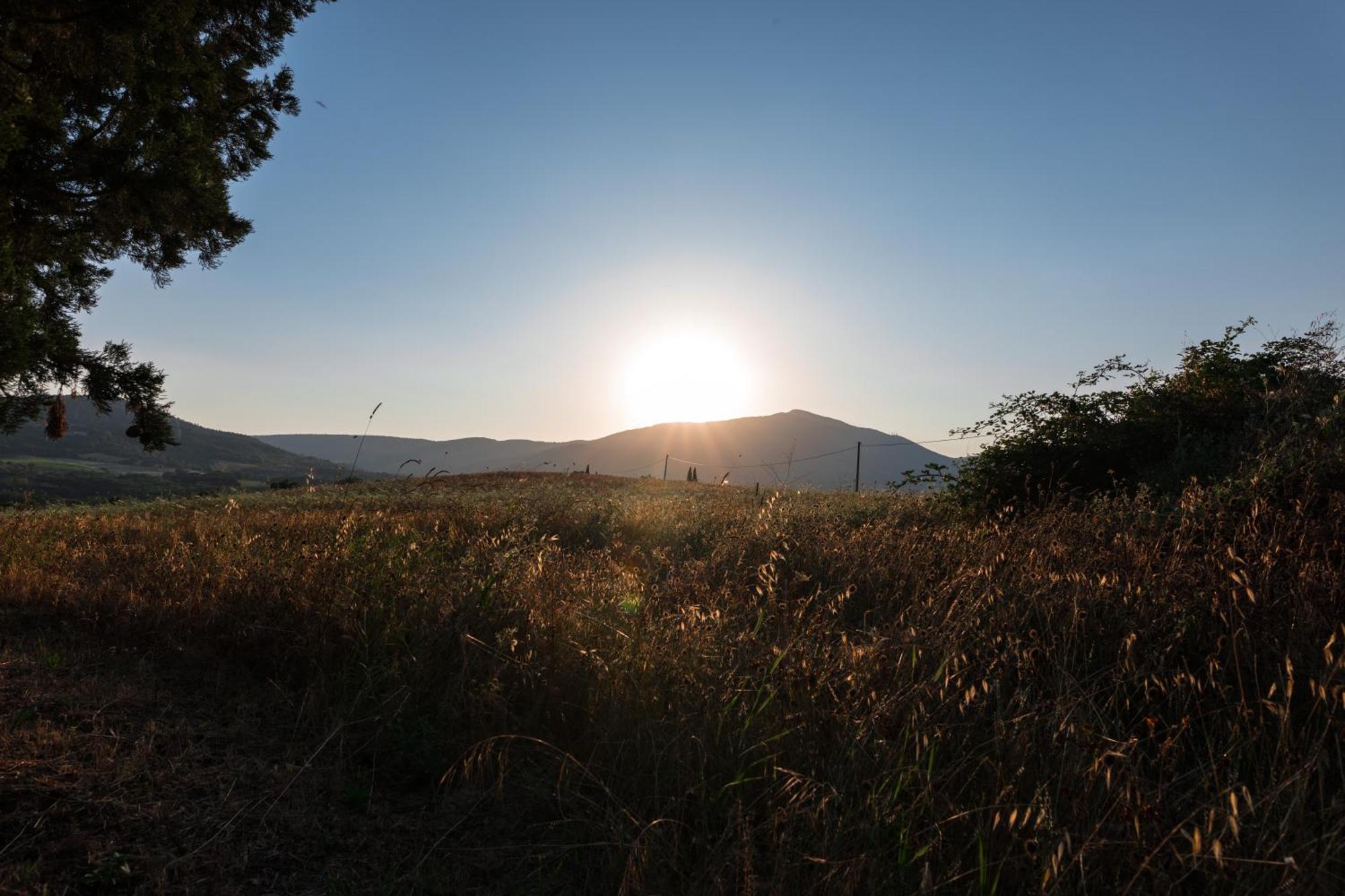 Palazzone Agriturismo Spazzavento מראה חיצוני תמונה